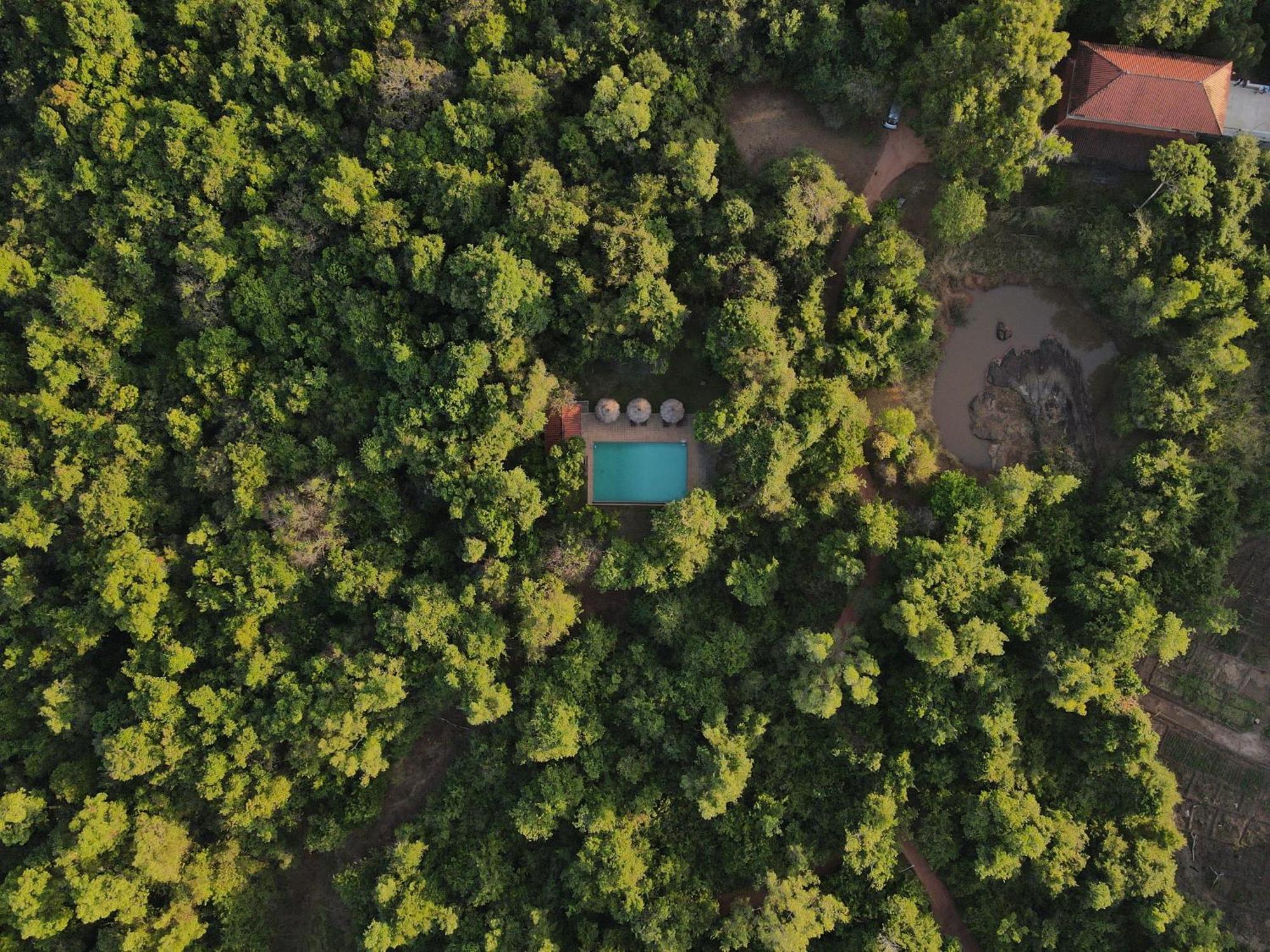 סיגירייה Wild Grass Nature Resort מראה חיצוני תמונה